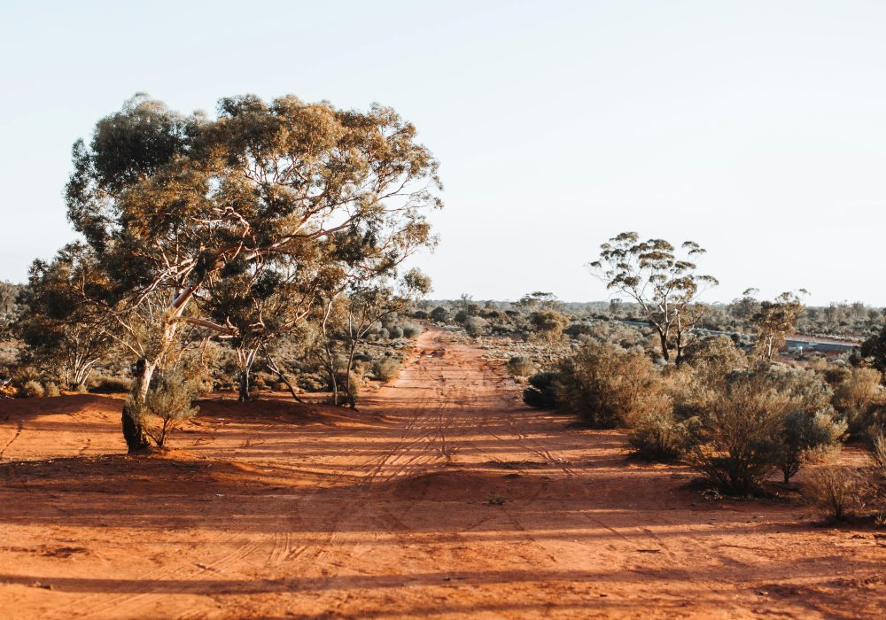 pexels-rachel-claire-4846428